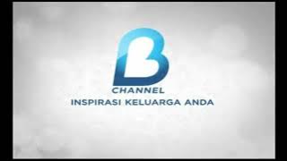 Endcap B Channel (2011 - 2012) (Sekarang RTV)