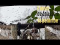 Vlog#5: 3 belles journées de chasse à la palombe ( je tombe à l'eau)