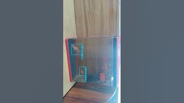 aqua yolo object detection and pet surveillance computer vision for fish ,dog,cats domestic pets