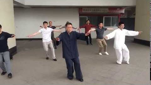 Wu style taijiquan set practice 1