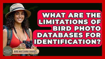 What Are The Limitations Of Bird Photo Databases For Identification? - Bird Watching Diaries