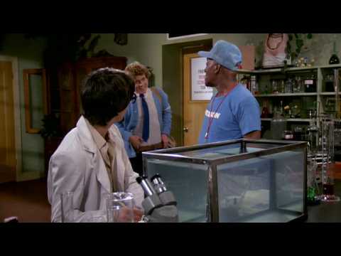 zapped (1982) - YouTube