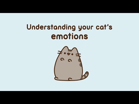 Pusheen: Understanding Your Cat's Emotions