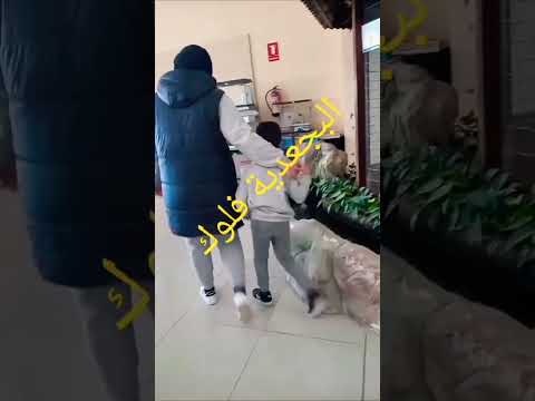 قولو لدوك العديان رها الدنيا دوارة وشلا مقلتو فيا 