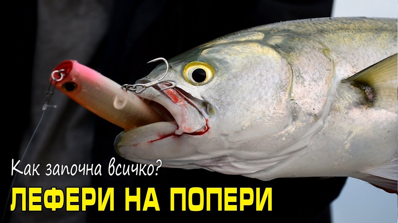 Как започна всичко? ЛЕФЕРИ НА ПОПЕР