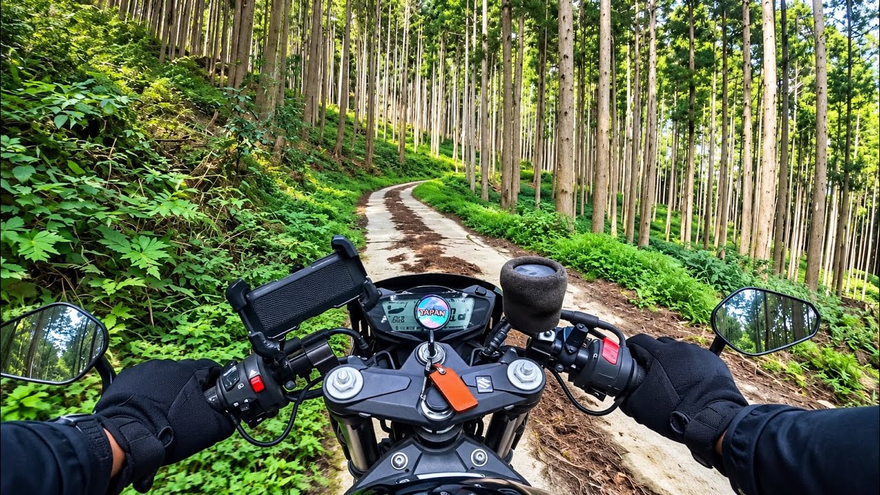 Riding Japan's Hidden Forest Roads to a Remote Temple | Motorcycle