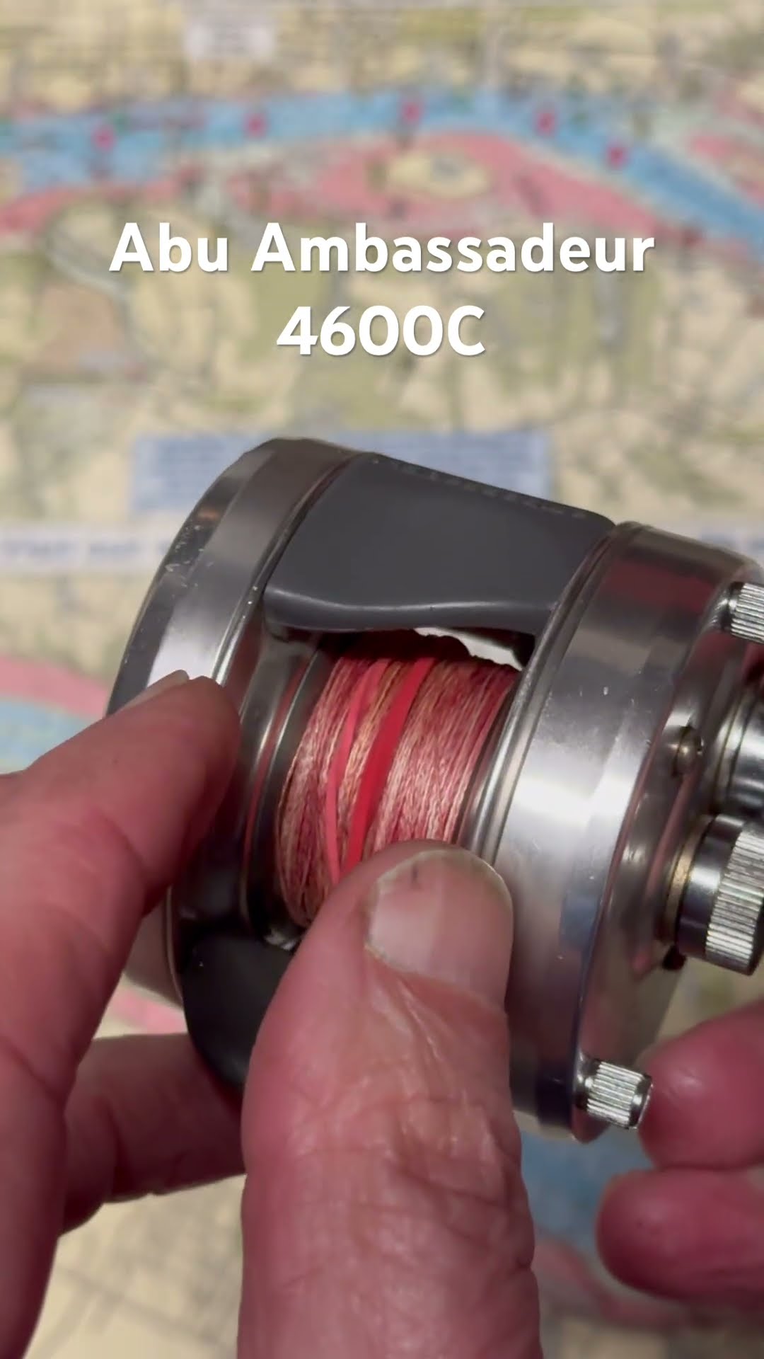 Abu Ambassadeur 4600C fishing reel for the day #fishing
