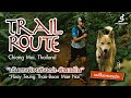 Trail Route แนะนำเส้นทางเทรล &quot;เส้นทางห้วยตึงเฒ่า-บ้านแม่ใน&quot; l by doctor sport chiang mai
