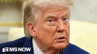 ‘Anti-affordability policy’: Fmr. Biden economist on Trump’s economic agenda