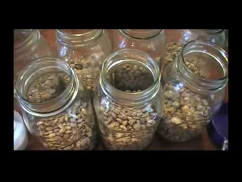 Home Canning Pinto Beans