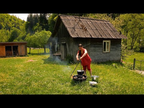   THE WOMAN LIVES ALONE IN THE MOUNTAINS Campfire Cooking