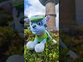 PAW Patrol toy collection #396: wonky old Rocky! I know it looks like Pup Pals Rocky again but no!
