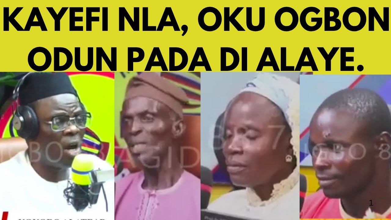 KAYEFI NLA, OKU OGBON ODUN PADA DI ALAYE.