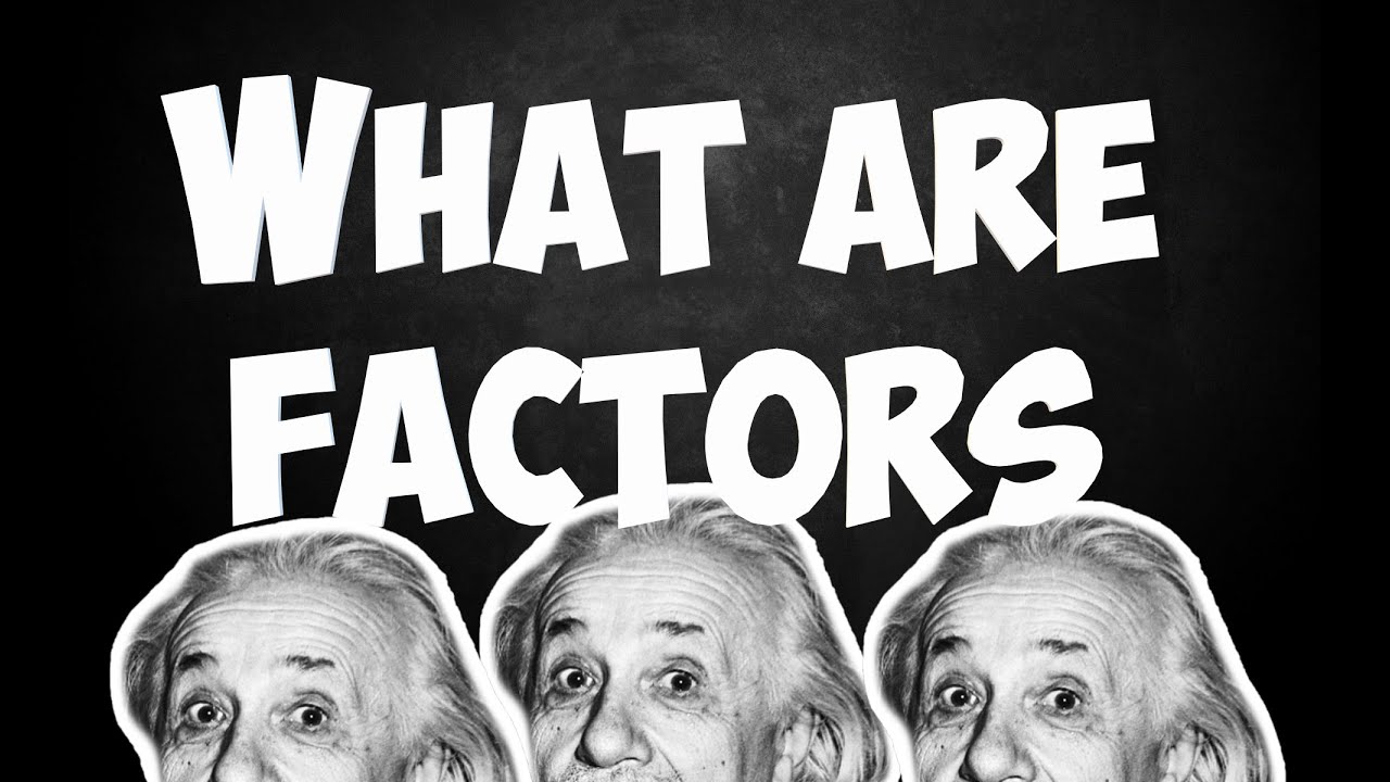 What Are Factors ? | In Maths | #5 - YouTube