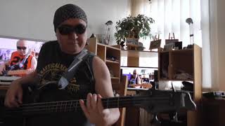 Down To The Bone Music Is The Key Dvdm1 Basscover3 Bob Roha