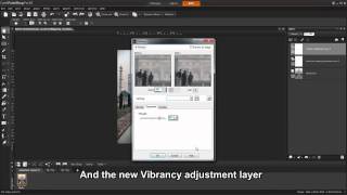 PaintShop Pro X4 - Adjustment Layers screenshot 2