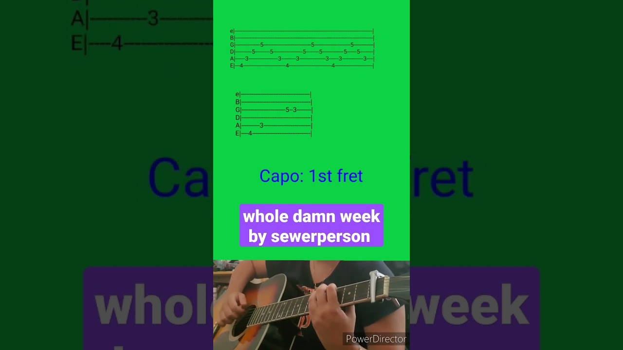 whole damn week by sewerperson- Acoustic Guitar Tab 