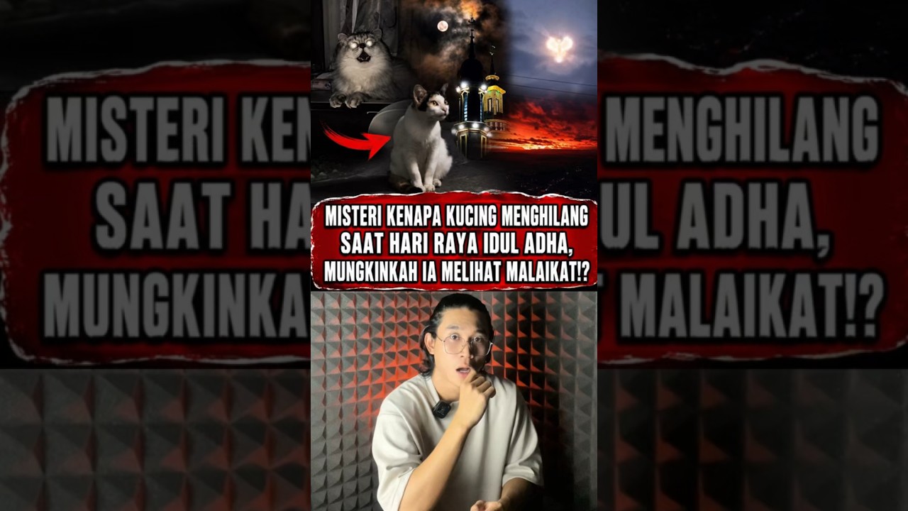 Misteri Kenapa Kucing Menghilang Saat Hari Raya Idul Adha, Mungkinkah Ia Melihat Malaikat!? #shorts