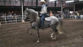 Caballo Amaranto Expogan 2009