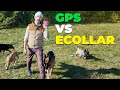 GPS Fence Collar vs Ecollar