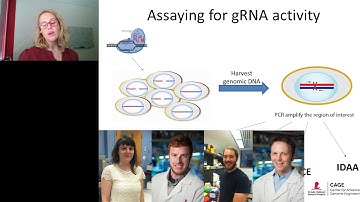Keynote Presentation: Functionalizing Genome Editing Techniques on a Broad Range of Cellular Targets
