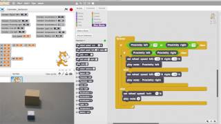 Hamster Programming: Shy Behavior!