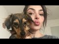 ASMR VLOG - new apartment, new puppy and forest walks