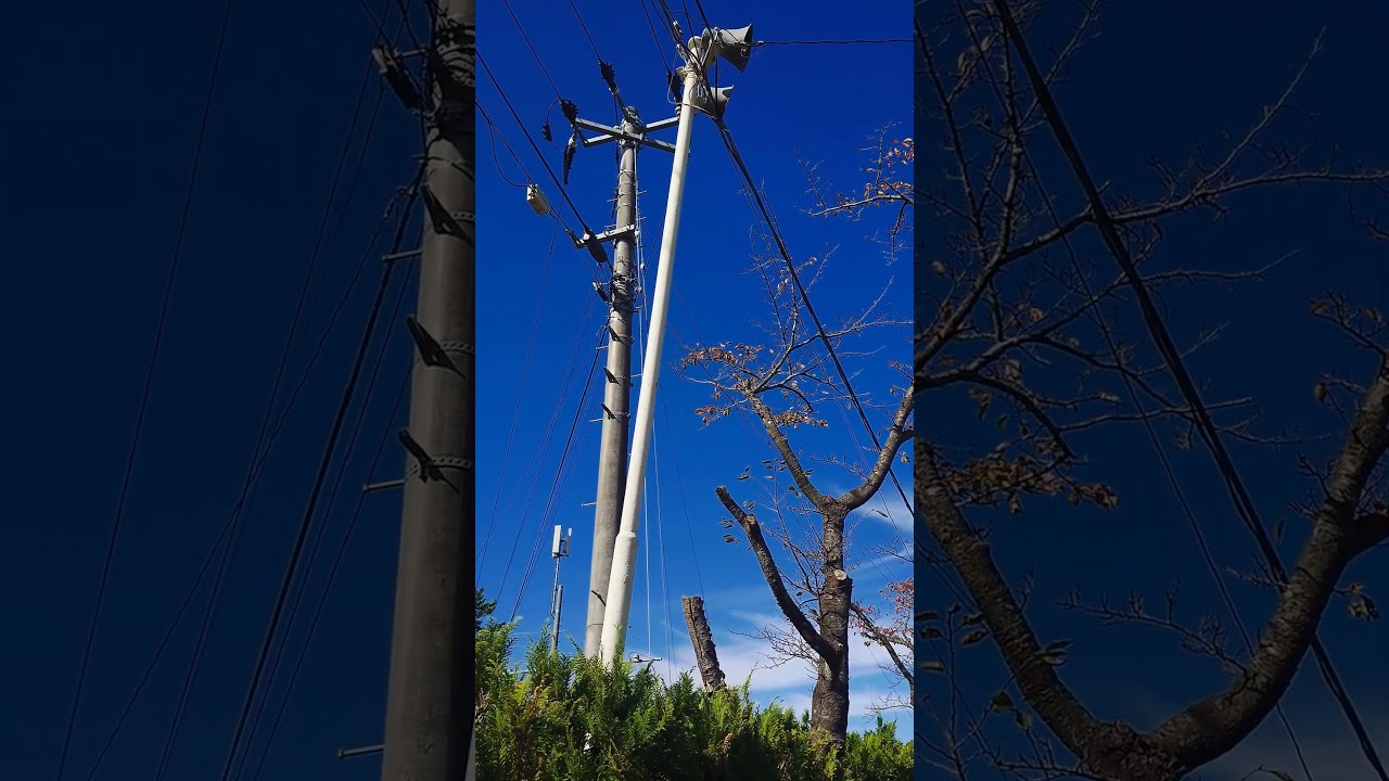 Holocity24' 仙台兔子語音 八木山ベニーランド #hololive #兎田ぺこら