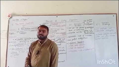 Three Domain Classification system with Domain Archaea, Domain Bacteria and Domain Eukarya