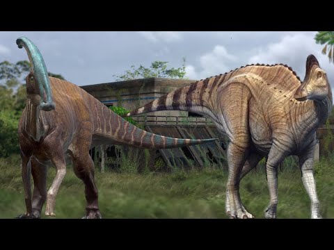 How To Differentiate Parasaurolophus and Corythosaurus(i cracked the case,again)