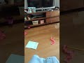 超ラッキー