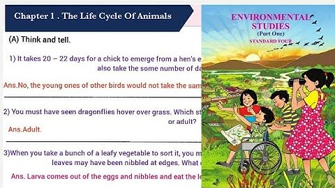 Life Cycle Of Animals | std 4th | question and answers | exercise .