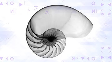 Fibonacci y el Número de Oro