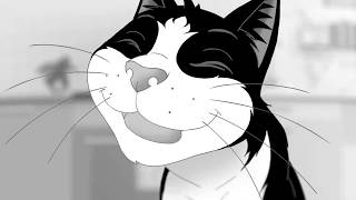 Felix Zeichen Des Geschmacks