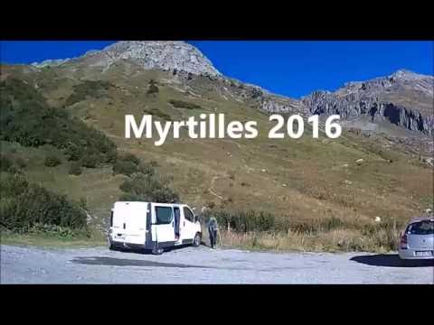 Vidéo: Myrtilles : Stockage Et Transformation