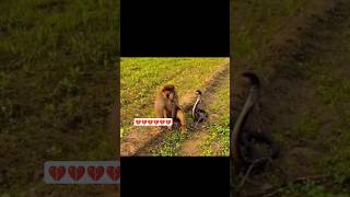 My Current Situation