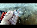 Пытаюсь сделать кормушку под наши нужды