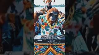 Download Lagu DJ PACU JALUR #viral #tiktok #fyp MP3 Download Lagu DJ PACU JALUR #viral #tiktok #fyp MP3
