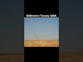 Bıldırcın avı 2025-2026 shotkam #hunting #2025shorts #global #shots