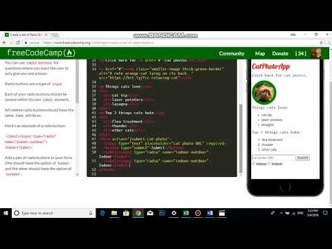 Create a Set of Radio Buttons   Free Code Camp