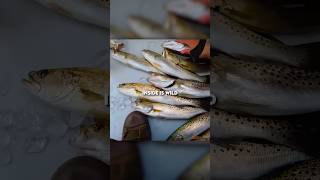 Fisherman HIDES Fish in FRONT of Game Warden 😳