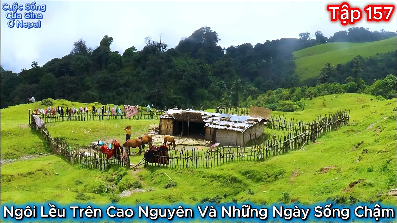 GINA Tập 157 - Ngôi Lều Trên Cao Nguyên Và Những Ngày Sống Chậm