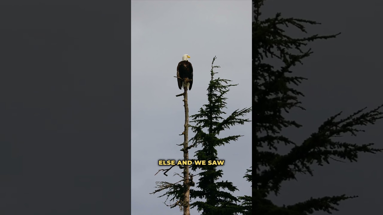 Best glacier tour in 