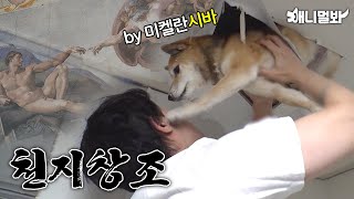 Why Is This Shibe Living In the Ceiling?