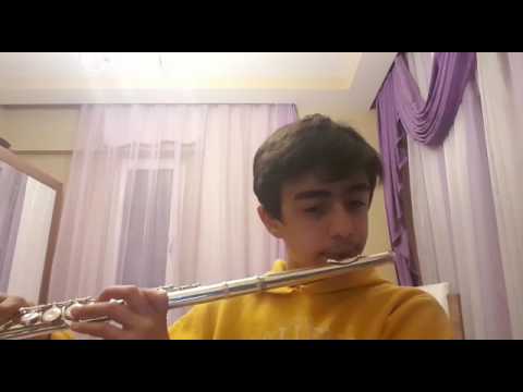 Akvaryum Balıkları yan flute