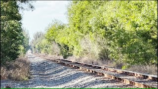 Wicked Fast Amtrak Floridian Engineer Gives Horn Salute