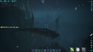 Fjordur 37 - Basilosaurus fun-Ark Survival Evolved