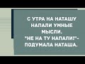 С утра на Наташу напали умные мысли. Сборник Свежих Анекдотов! Юмор!