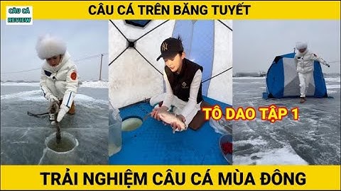 Trải Nghiệm Câu Cá Mùa Đông | T01 | Tô Dao | Câu Cá Trên Băng | CÂU CÁ REVIEW #câucá #câucátrênbăng