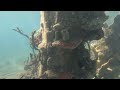 The Shipwreck Rolley Polley wwwelpalaciorosacom